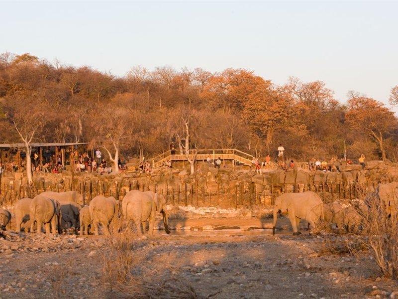 Halali Camp Hotel Etosha Kültér fotó